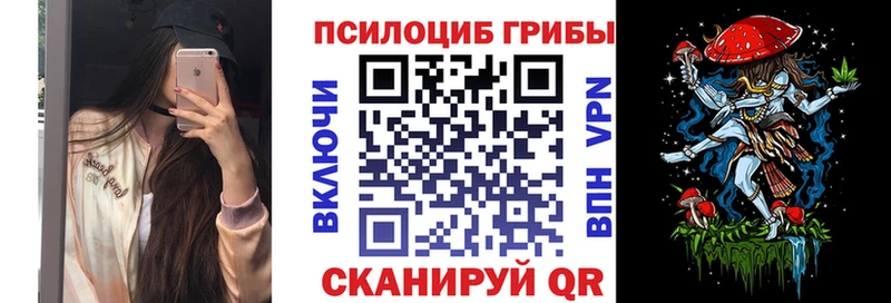 ссылка на мегу как войти  Кыштым  Галлюциногенные грибы Psilocybine cubensis 